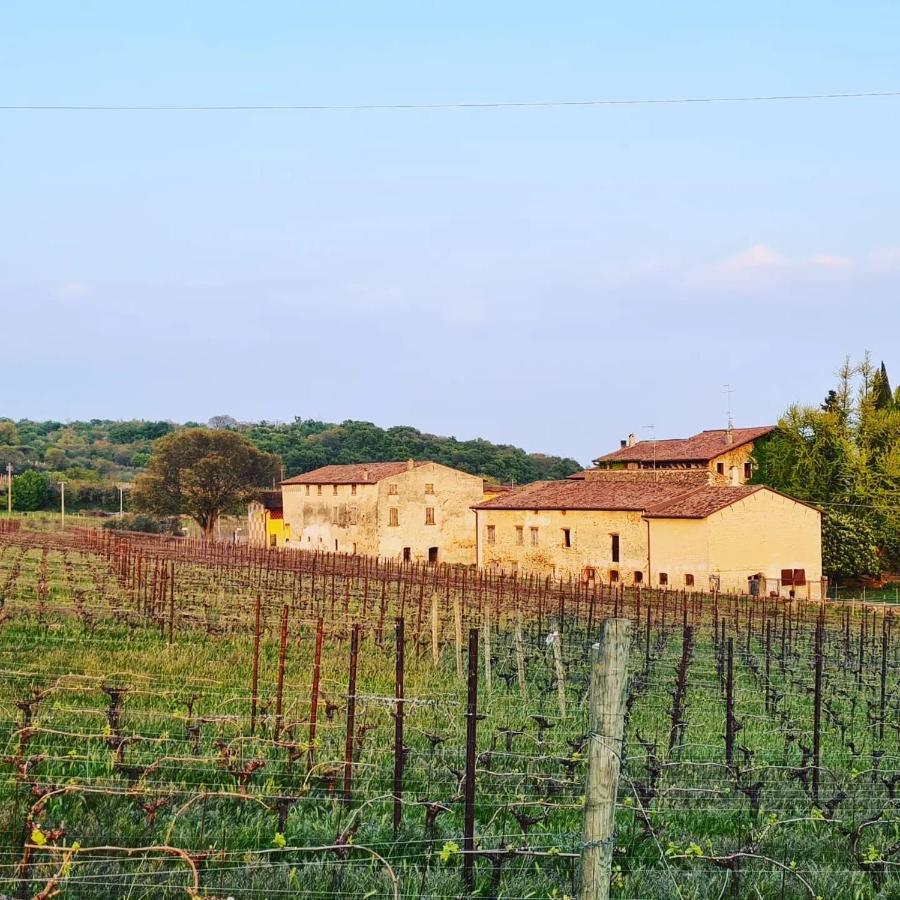 Casaflora_Corteventurelli31 Valeggio sul Mincio Dış mekan fotoğraf